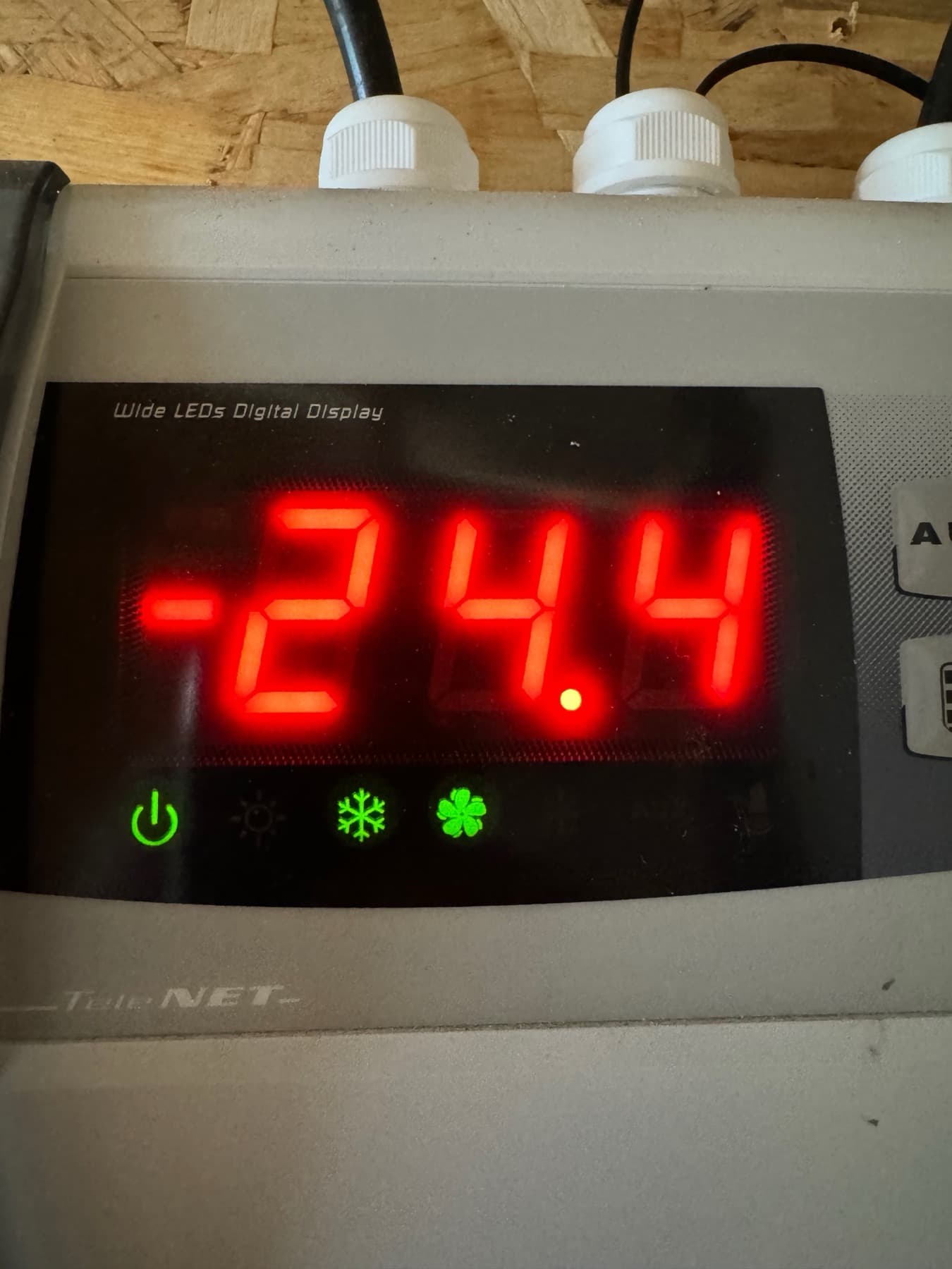 Whole-Body Equine Cryotherapy