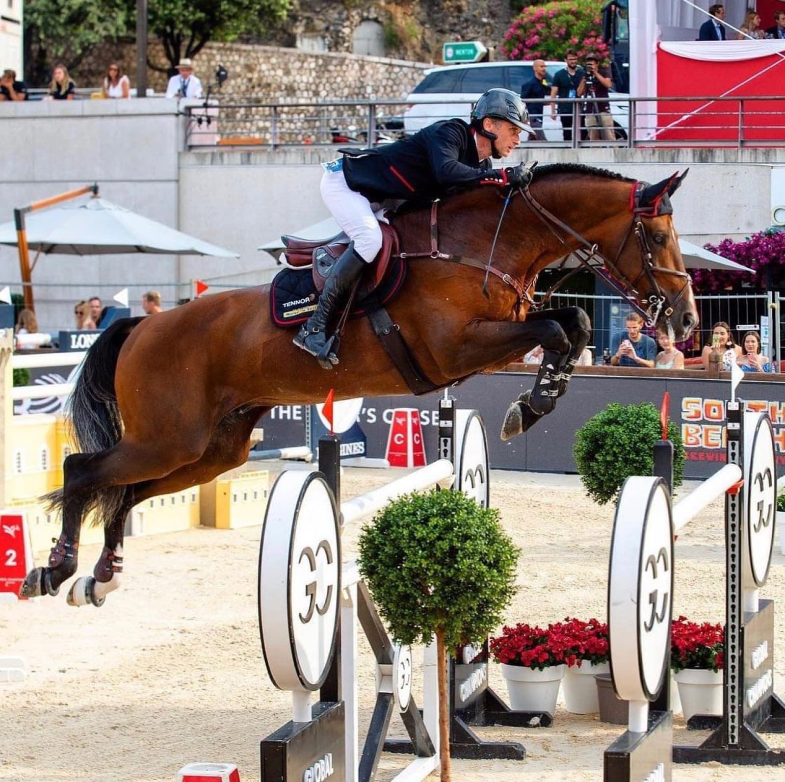 Showjumping horse and rider mid-jump